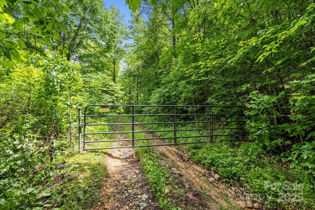 9999 Burnette Reeves Rd, Leicester, NC 28748 - photo 2
