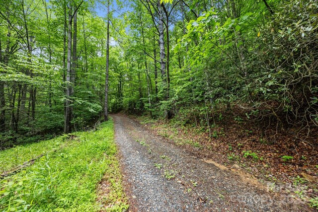 9999 Burnette Reeves Rd, Leicester, NC 28748 - photo 3