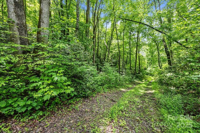 9999 Burnette Reeves Rd, Leicester, NC 28748 - photo 4