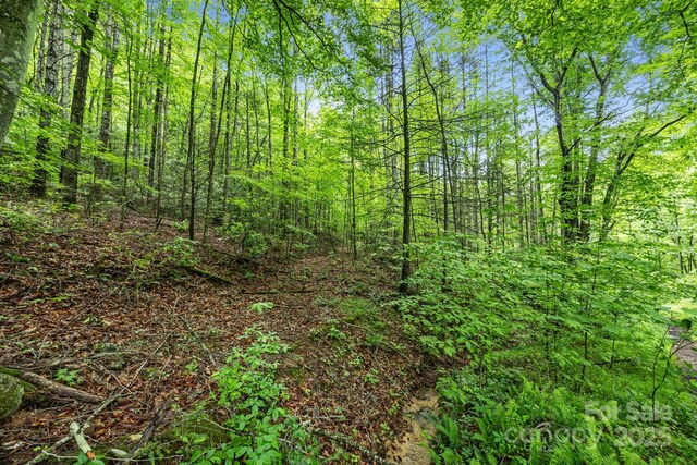 9999 Burnette Reeves Rd, Leicester, NC 28748 - photo 5