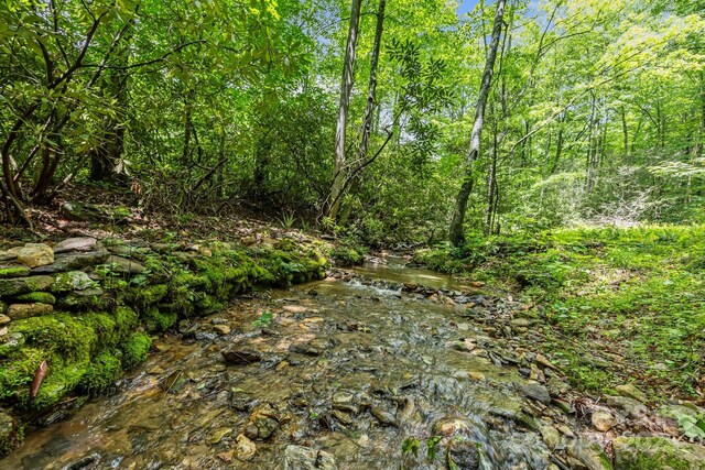 9999 Burnette Reeves Rd, Leicester, NC 28748 - photo 6