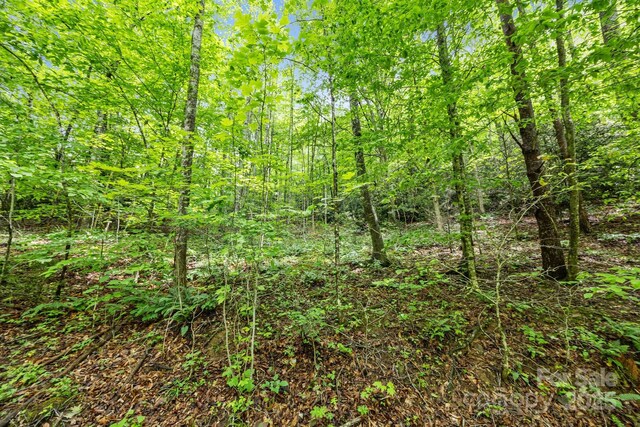 9999 Burnette Reeves Rd, Leicester, NC 28748 - photo 7