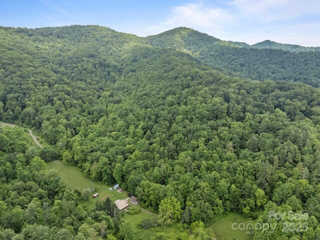 9999 Burnette Reeves Rd, Leicester, NC 28748 - photo 8