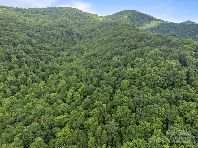 9999 Burnette Reeves Rd, Leicester, NC 28748 - photo 10