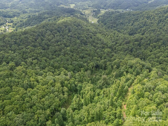 9999 Burnette Reeves Rd, Leicester, NC 28748 - photo 11