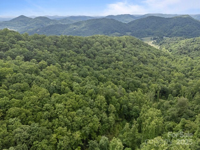 9999 Burnette Reeves Rd, Leicester, NC 28748 - photo 12