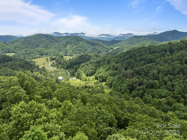 9999 Burnette Reeves Rd, Leicester, NC 28748 - photo 13