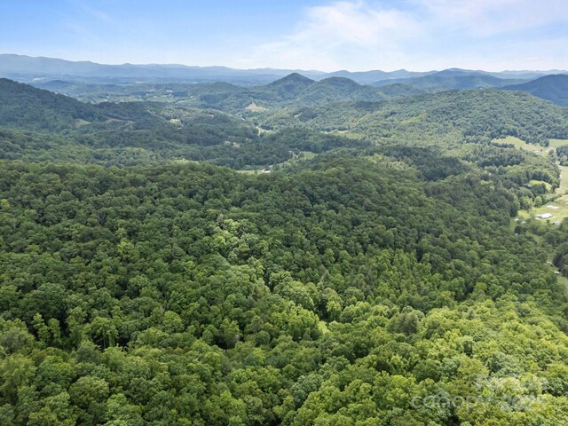 9999 Burnette Reeves Rd, Leicester, NC 28748 - photo 14