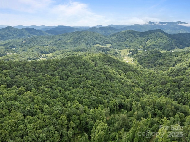 9999 Burnette Reeves Rd, Leicester, NC 28748 - photo 15