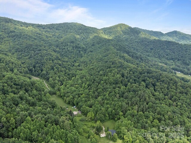 9999 Burnette Reeves Rd, Leicester, NC 28748 - photo 16