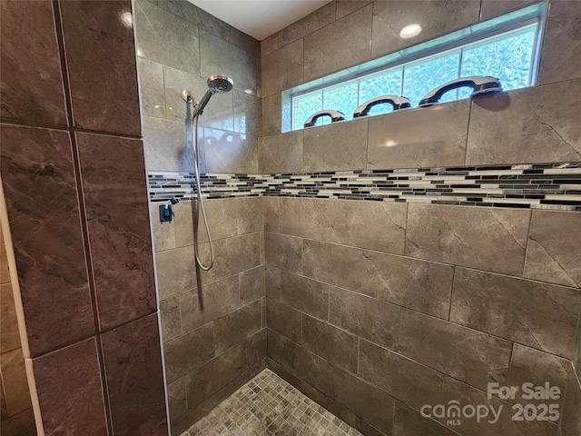 2904 E Brocktown Rd, Moravian Falls, NC 28654 - bathroom featuring a tile shower