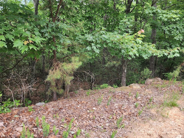 2904 E Brocktown Rd, Moravian Falls, NC 28654 - view of woods