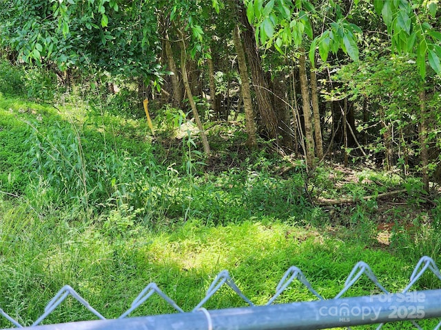 2904 E Brocktown Rd, Moravian Falls, NC 28654 - view of nature