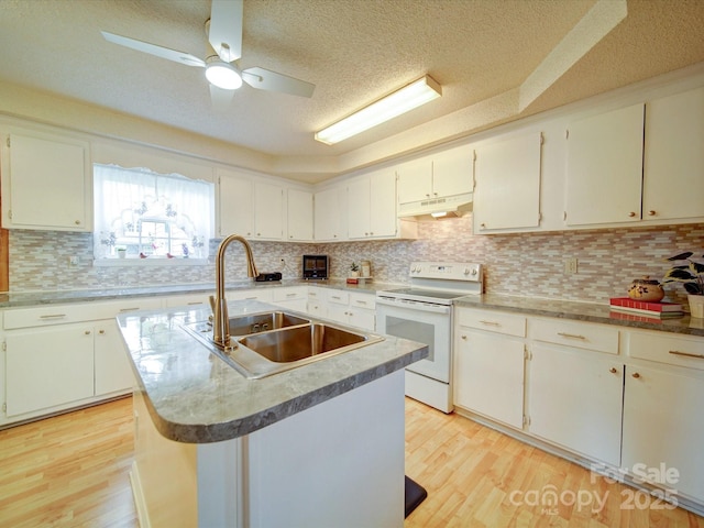 4115 Jenkins Rd, Marshville, NC 28103 - kitchen featuring electric range, under cabinet range hood, light wood finished floors, decorative backsplash, and a textured ceiling