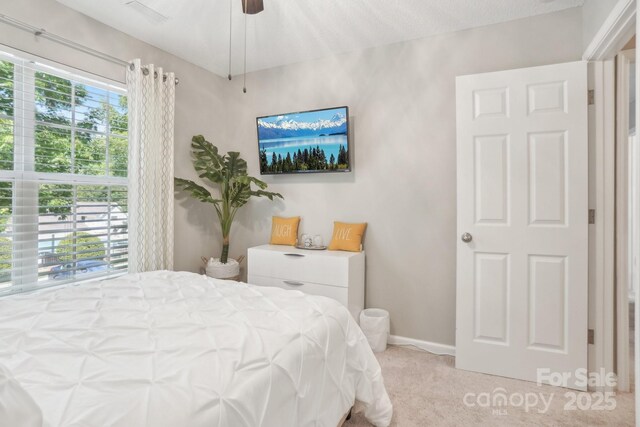 8108 Christmas Ct, Charlotte, NC 28216 - photo 30
