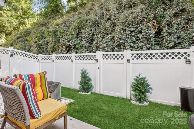 8108 Christmas Ct, Charlotte, NC 28216 - photo 36