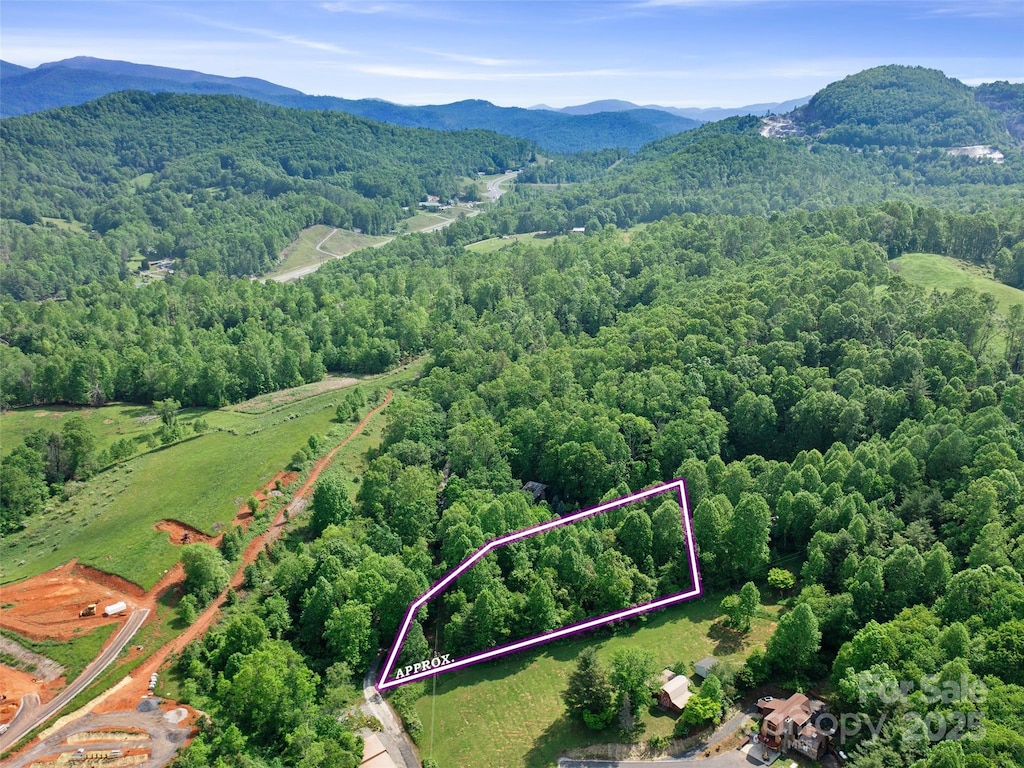 000 Hinson Thomas Rd, Spruce Pine, NC 28777 - photo 1