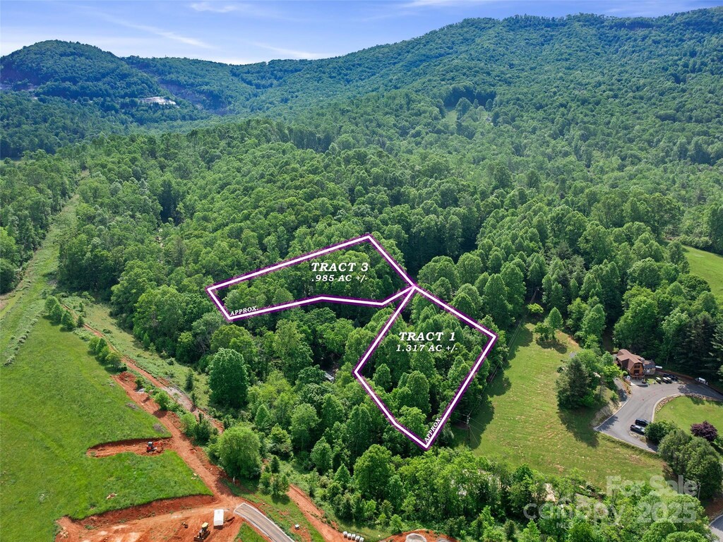 000 Hinson Thomas Rd, Spruce Pine, NC 28777 - photo 2