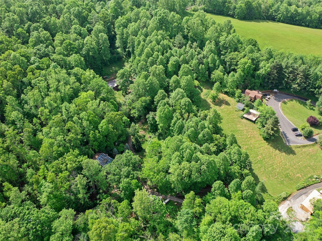 000 Hinson Thomas Rd, Spruce Pine, NC 28777 - photo 3