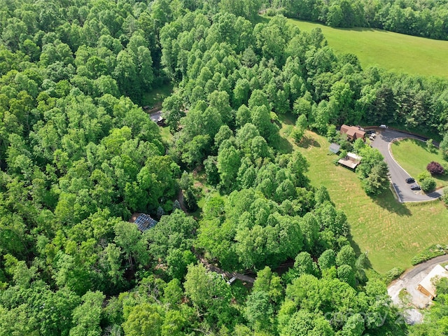 000 Hinson Thomas Rd, Spruce Pine, NC 28777 - photo 3