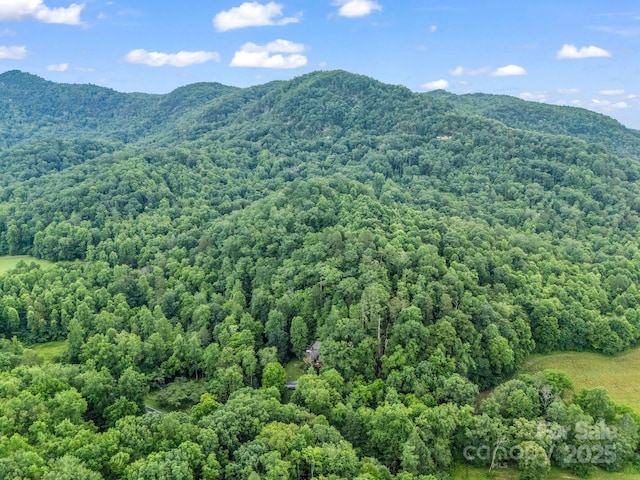 120 Rocky Mountain Dr, Lake Lure, NC 28746 - view of mountain background with a heavily wooded area