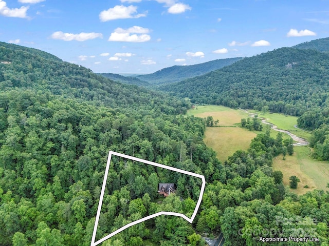 120 Rocky Mountain Dr, Lake Lure, NC 28746 - view of property location featuring a heavily wooded area and property parcel outlined