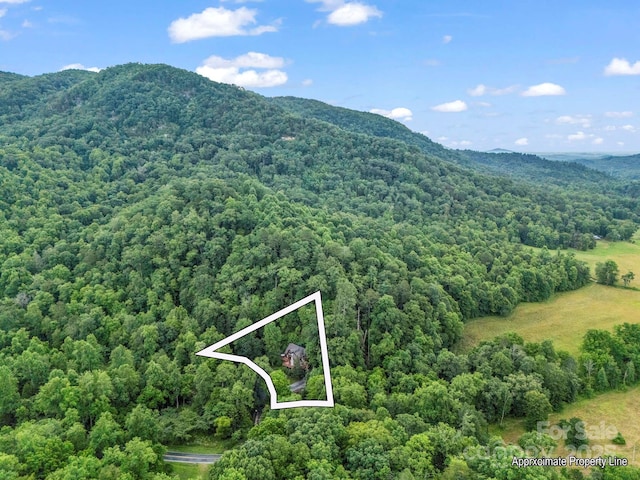 120 Rocky Mountain Dr, Lake Lure, NC 28746 - aerial overview of property's location with a forest and property parcel outlined