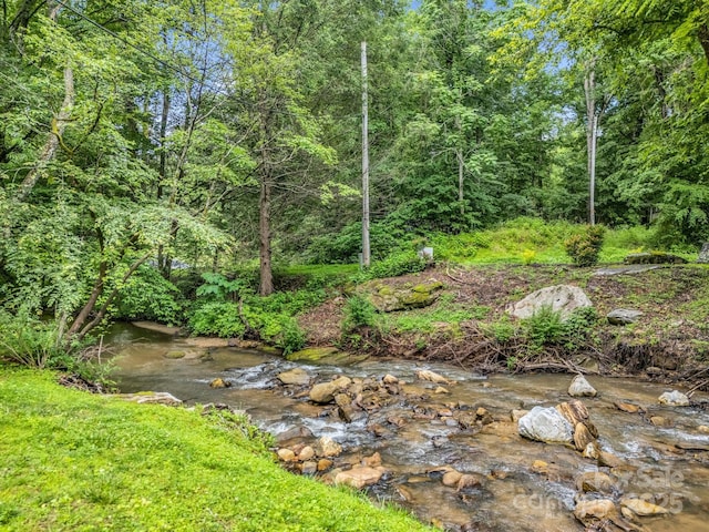 120 Rocky Mountain Dr, Lake Lure, NC 28746 - view of yard