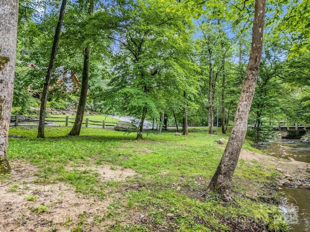 120 Rocky Mountain Dr, Lake Lure, NC 28746 - view of yard