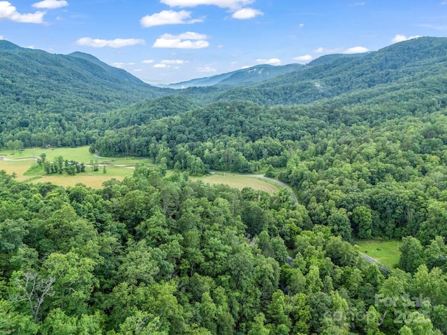 120 Rocky Mountain Dr, Lake Lure, NC 28746 - photo 15