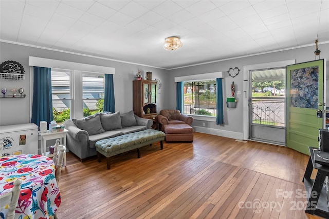 302 N St, Morganton, NC 28655 - living room featuring hardwood / wood-style floors and crown molding