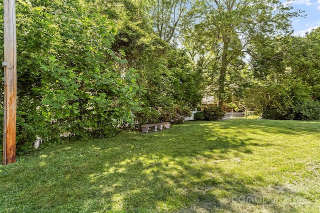 302 N St, Morganton, NC 28655 - view of grassy yard