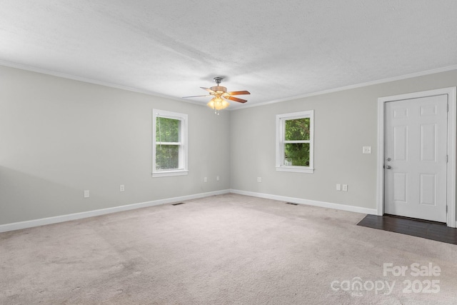 352 18th Ave NE, Hickory, NC 28601 - spare room featuring carpet, ornamental molding, baseboards, a ceiling fan, and a textured ceiling