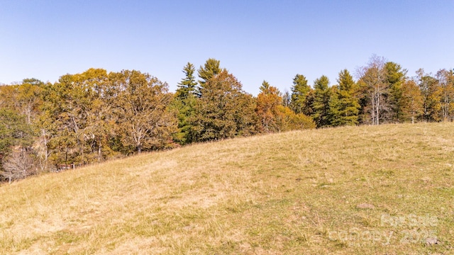 318 Monticello Rd, Weaverville, NC 28787