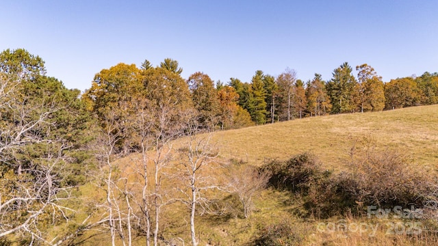 318 Monticello Rd, Weaverville, NC 28787
