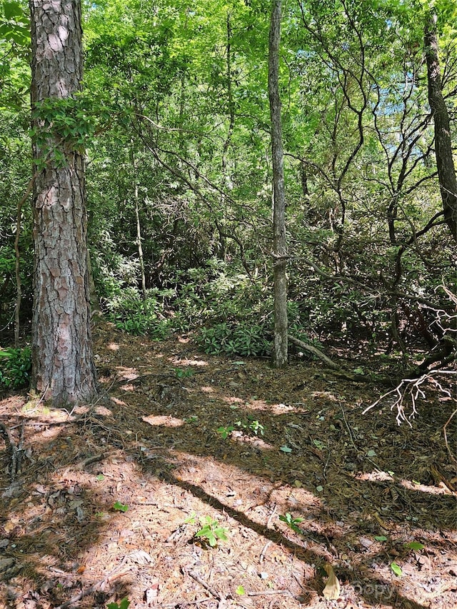 101 Arbor View Dr, Marion, NC 28752