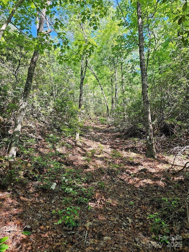 101 Arbor View Dr, Marion, NC 28752