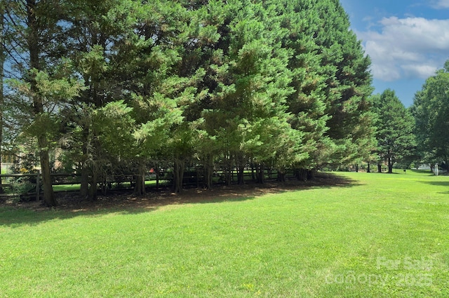 4323 Rosecliff Dr, Charlotte, NC 28277 - view of yard