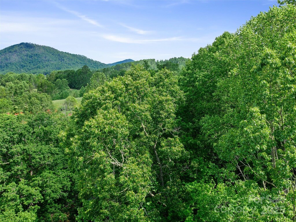 TBD Hinson Thomas Rd, Spruce Pine, NC 28777 - photo 2