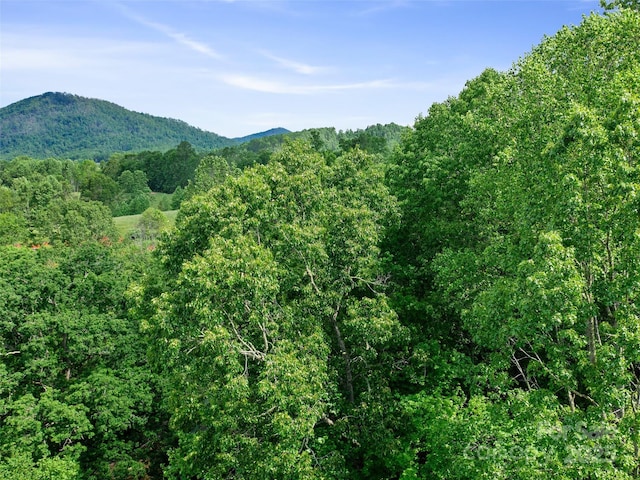 TBD Hinson Thomas Rd, Spruce Pine, NC 28777 - photo 2