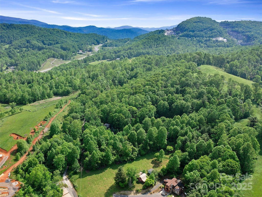 TBD Hinson Thomas Rd, Spruce Pine, NC 28777 - photo 3