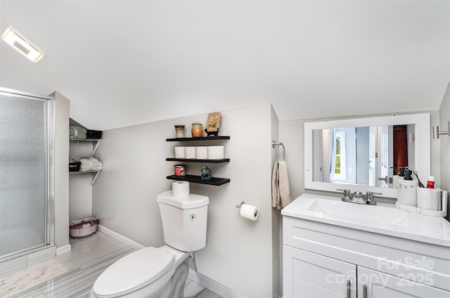 12504 Culp Rd, Gold Hill, NC 28071 - bathroom with a stall shower, vanity, and lofted ceiling