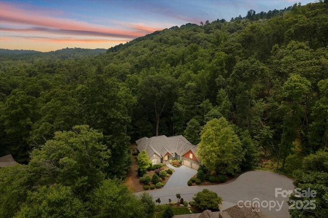 311 Carriage Crest Dr, Hendersonville, NC 28791 - aerial view at dusk of a forest view