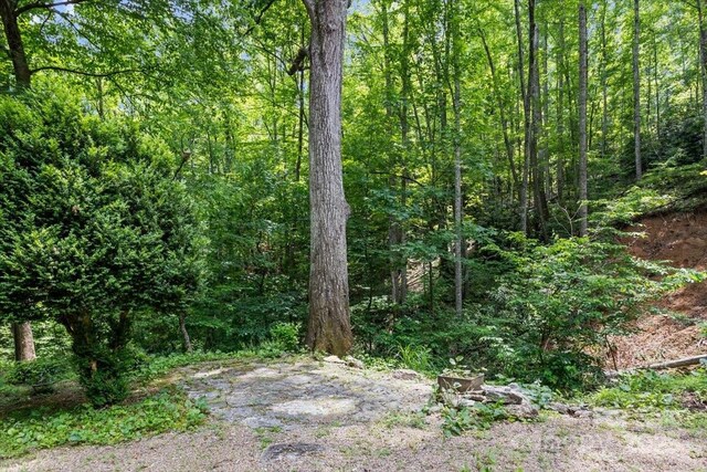 311 Carriage Crest Dr, Hendersonville, NC 28791 - view of wooded area
