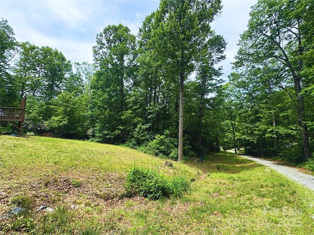 23 Clarks Crossing Way, Black Mountain, NC 28711 - photo 3