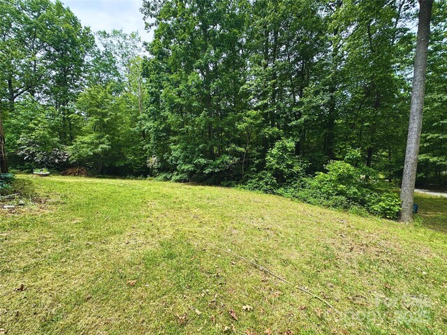23 Clarks Crossing Way, Black Mountain, NC 28711 - photo 4