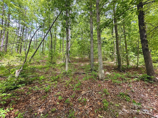 23 Clarks Crossing Way, Black Mountain, NC 28711 - photo 32