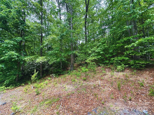 23 Clarks Crossing Way, Black Mountain, NC 28711 - photo 33