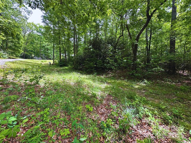 23 Clarks Crossing Way, Black Mountain, NC 28711 - photo 34
