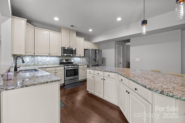 1300 Yellow Springs Dr, Indian Land, SC 29707 - kitchen featuring appliances with stainless steel finishes, a sink, dark wood-style flooring, recessed lighting, and decorative backsplash